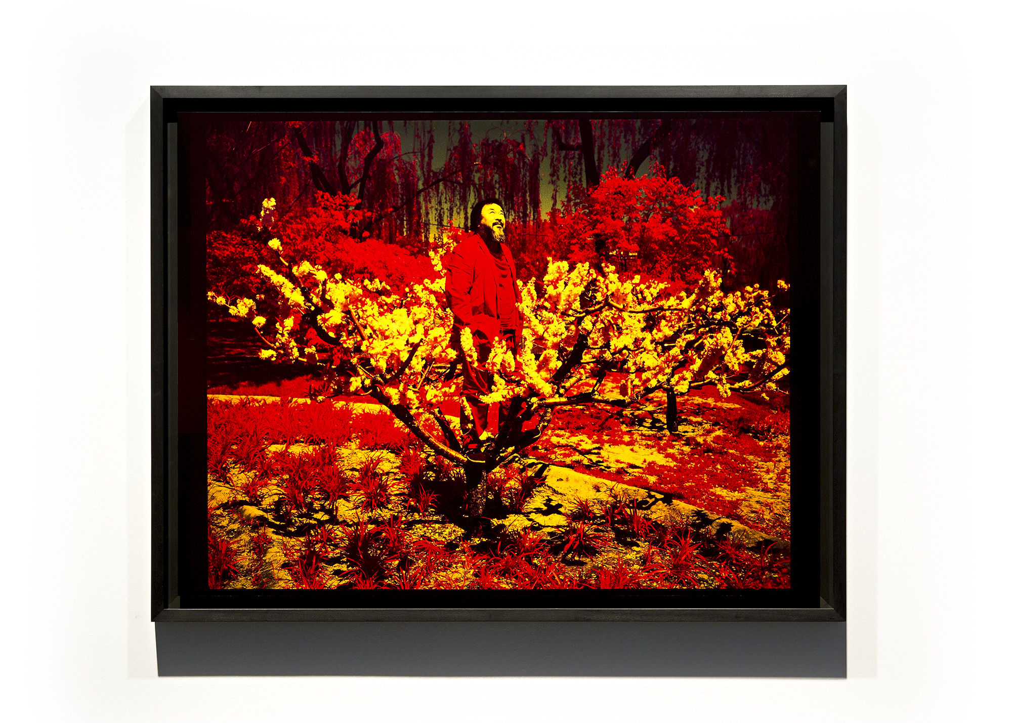 Ai Weiwei (Bejing), 2015
