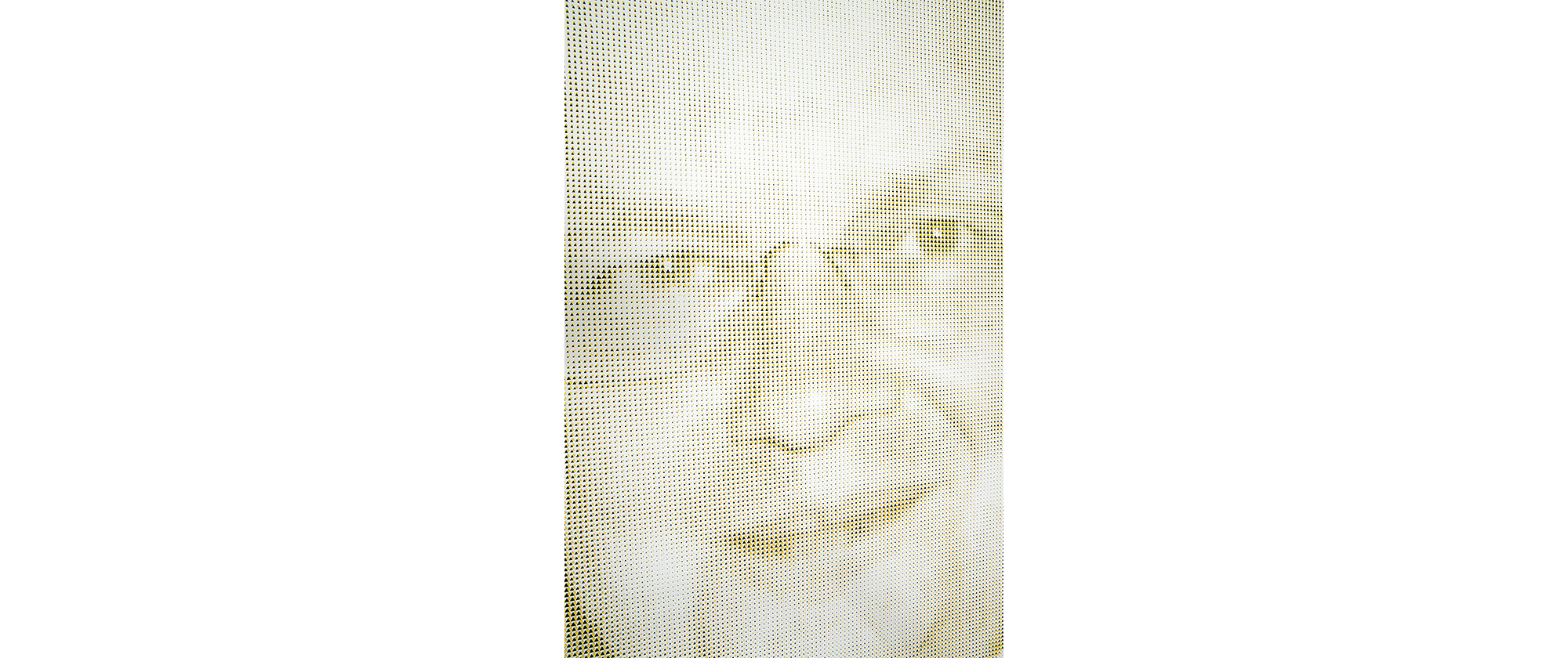 Michael Hayden, 2015