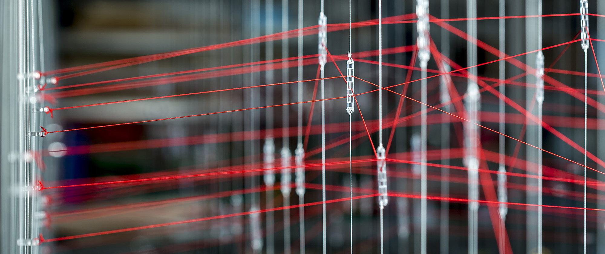 Order+Noise (Interface I), 2015