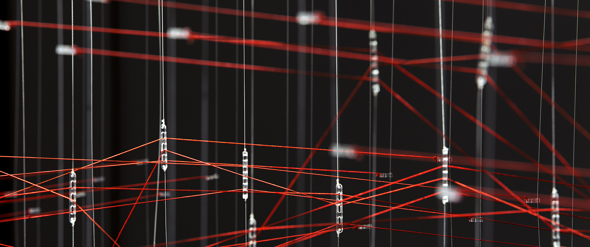 Order+Noise (Interface I), 2015