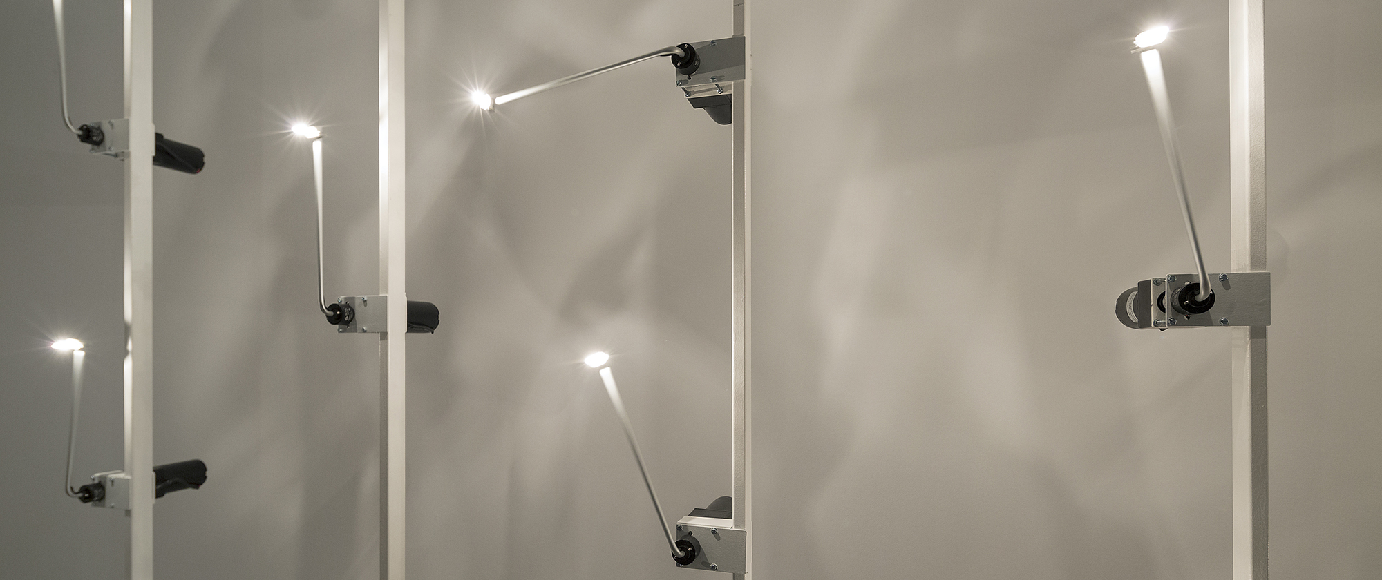 Homeostase, 2016