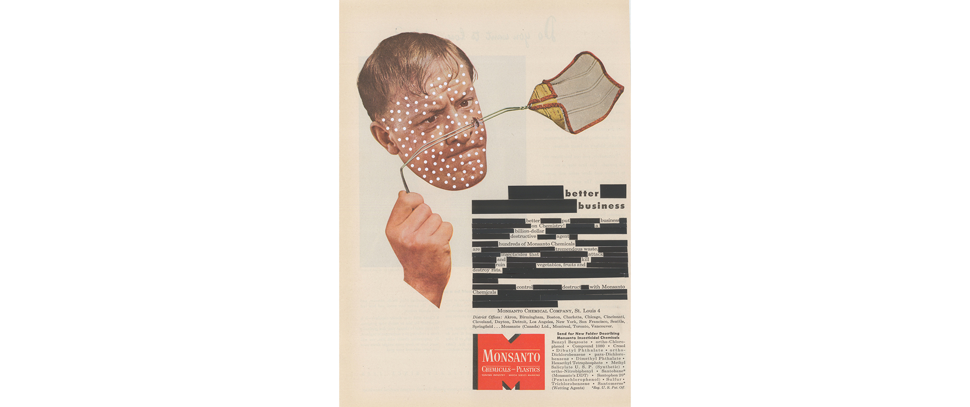 Monsanto Intervention, 2013