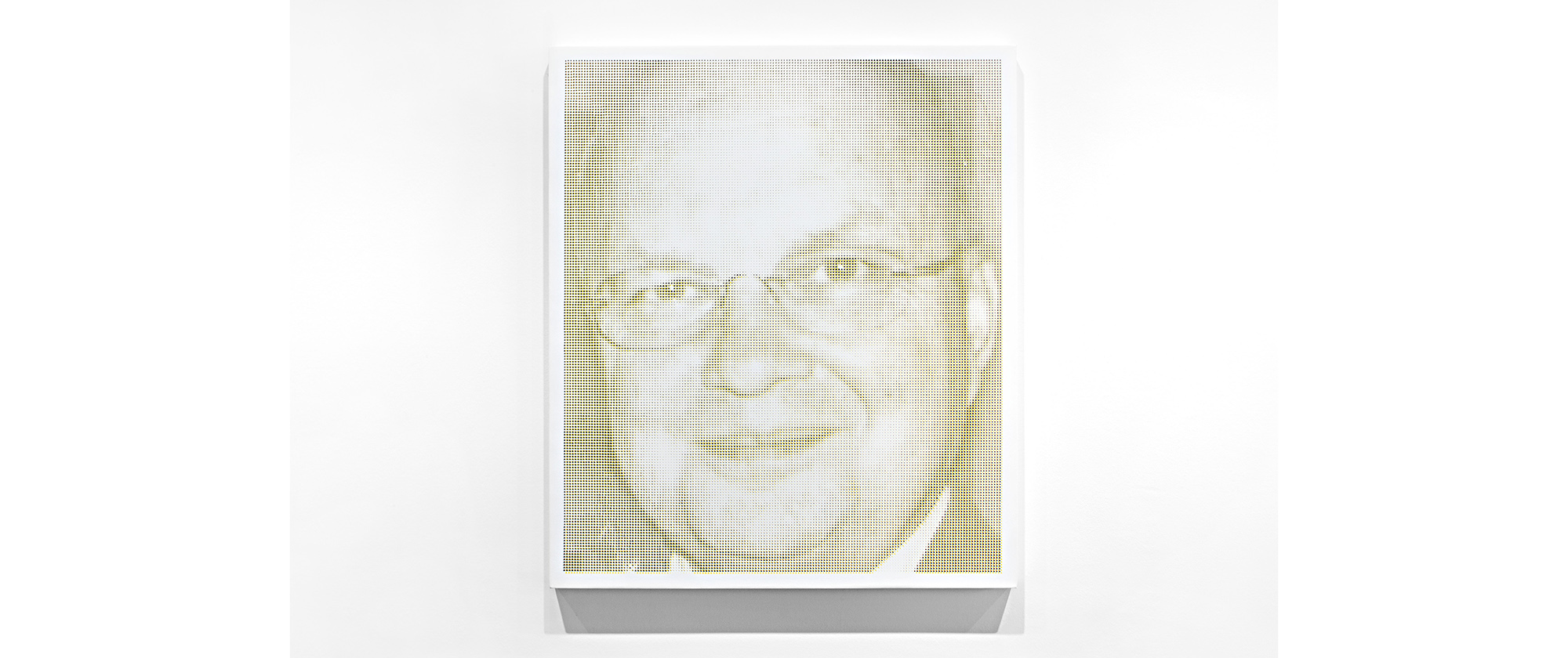 Michael Hayden, 2015