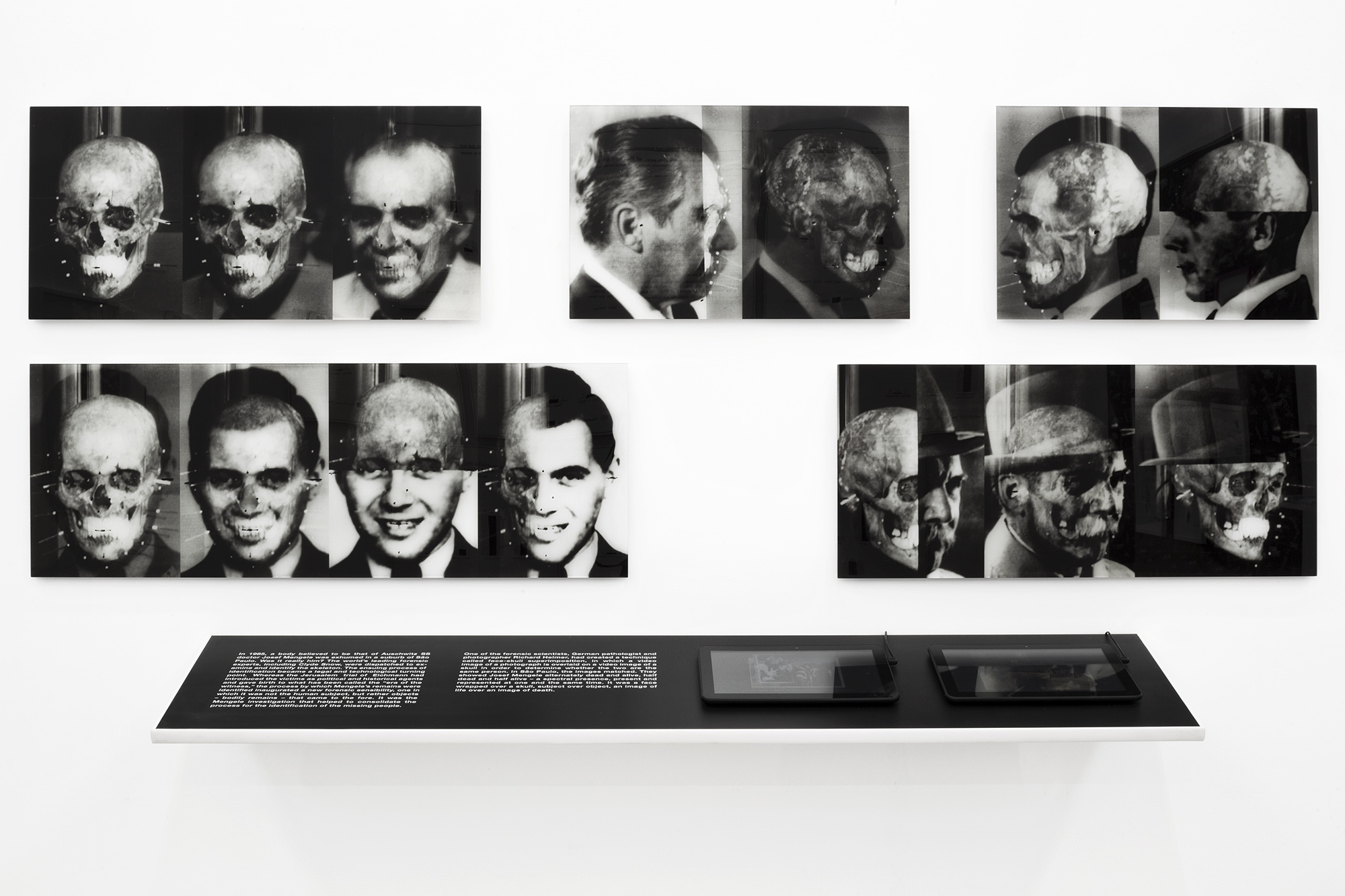 Mengele’s Skull, 2012