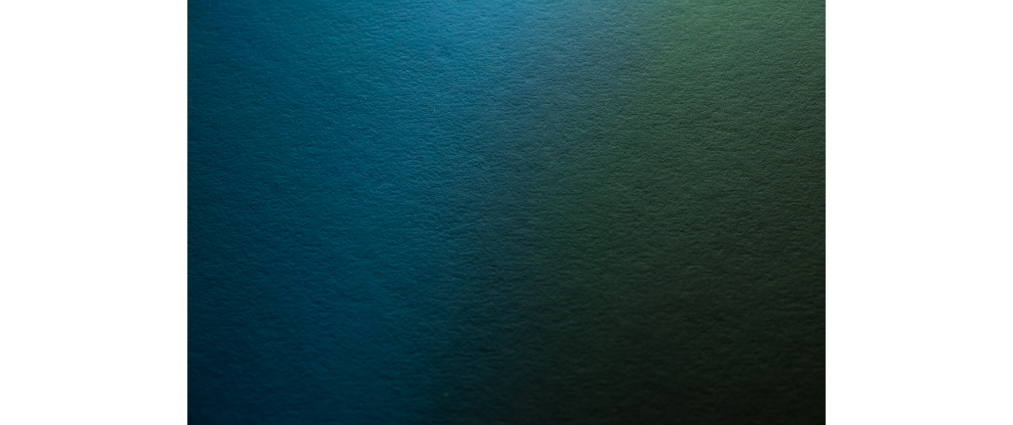 Mugshots.com. N.1, 2016