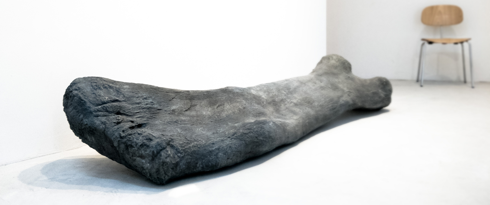 Not a Single Bone, 2017