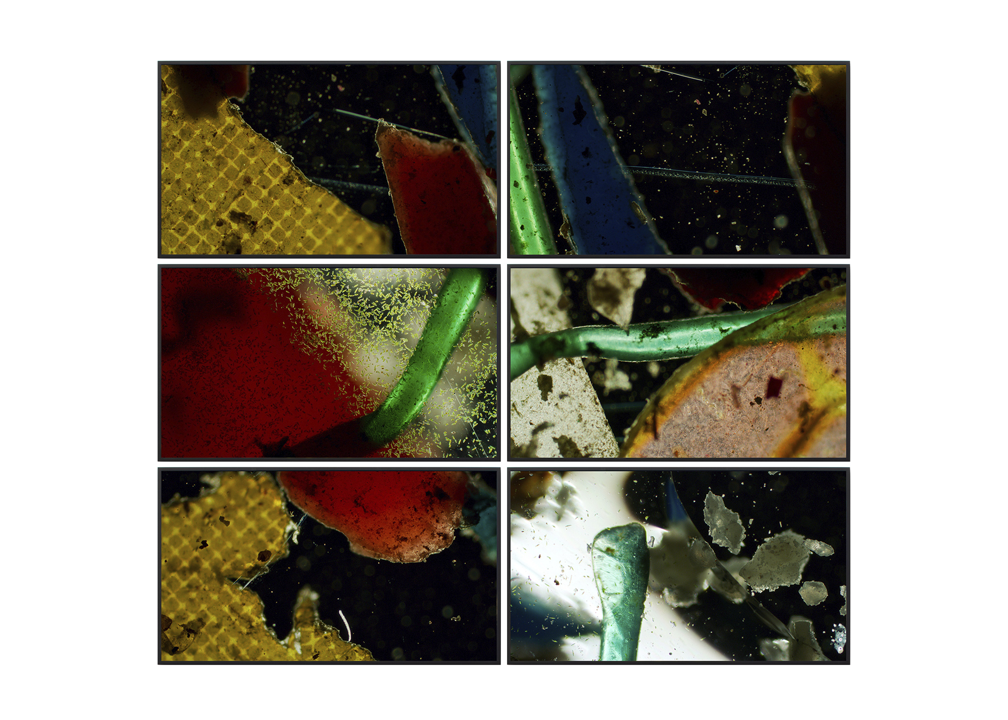 Aberrations IV (Composition with Algae and Microplastics), 2018