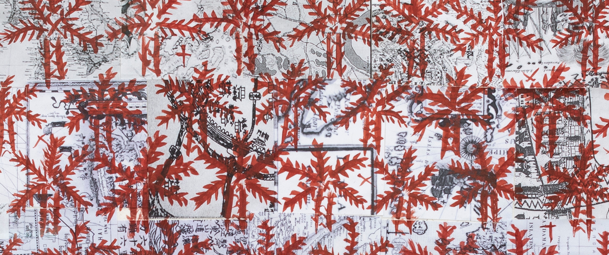 Frontiers of Struggle 09, 2019