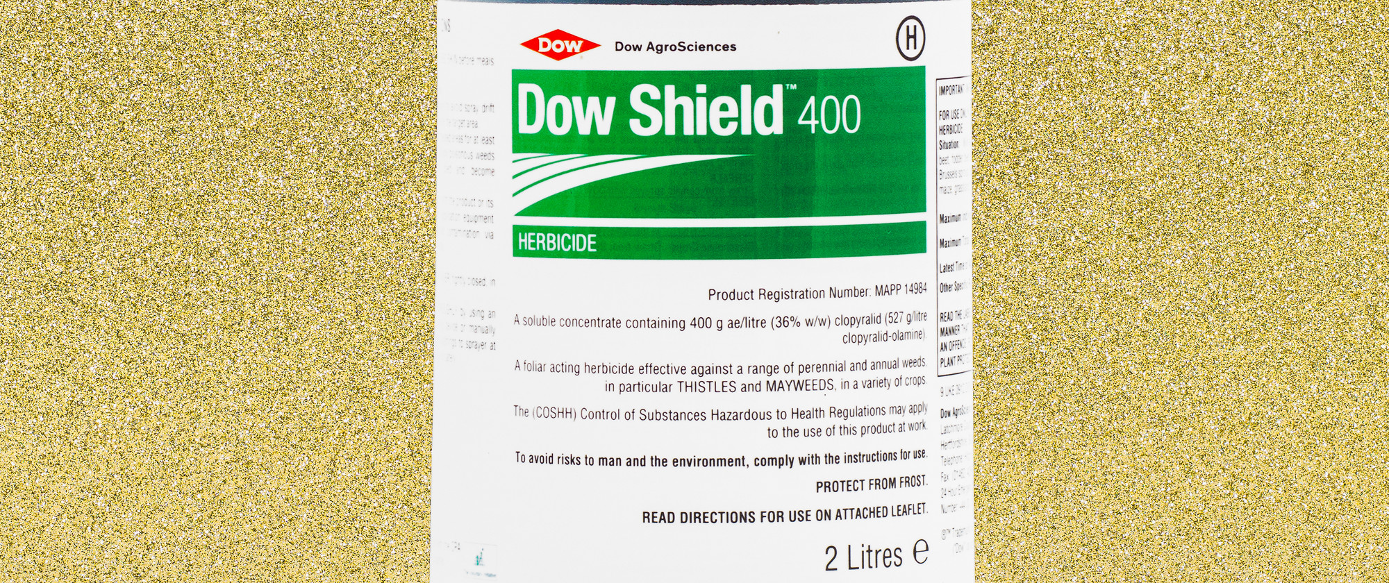 Dow Shield, 2019
