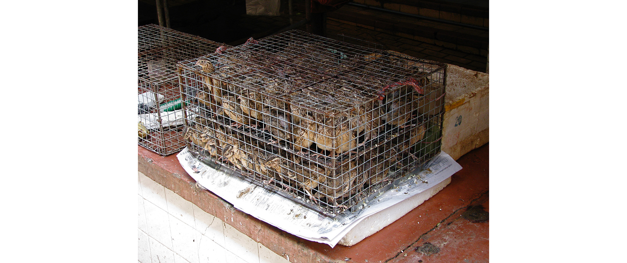 Theatrum Orbis Terrarum, 2020