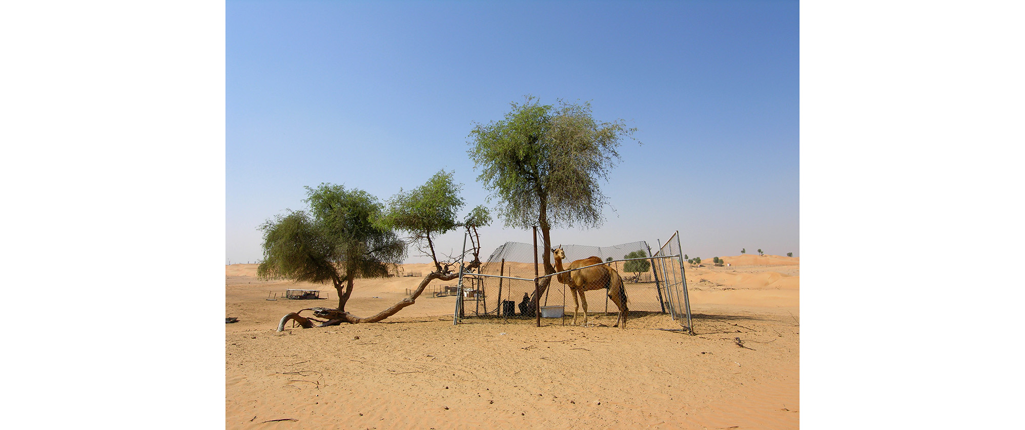 Theatrum Orbis Terrarum, 2020