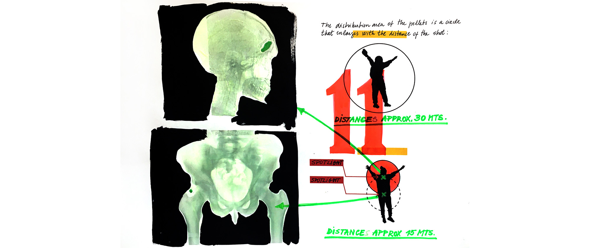 Estudio 11 (Study 11), 2021