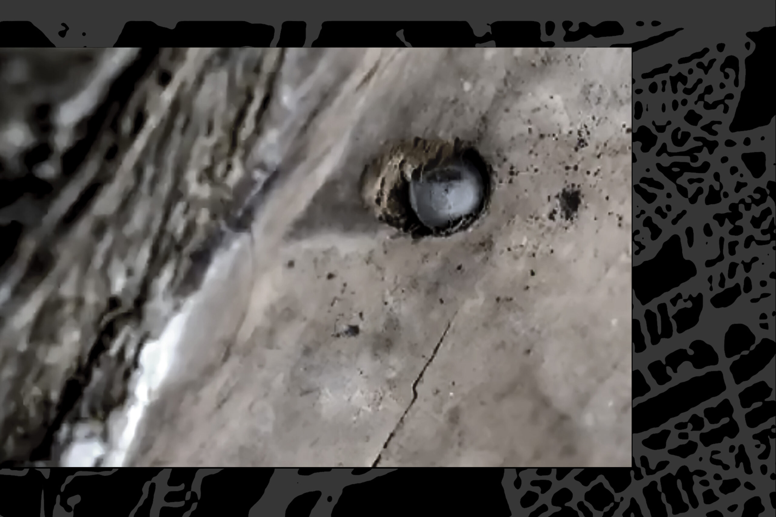 Políptico Árboles Perdigones (Trees Pellets Polyptych), 2021