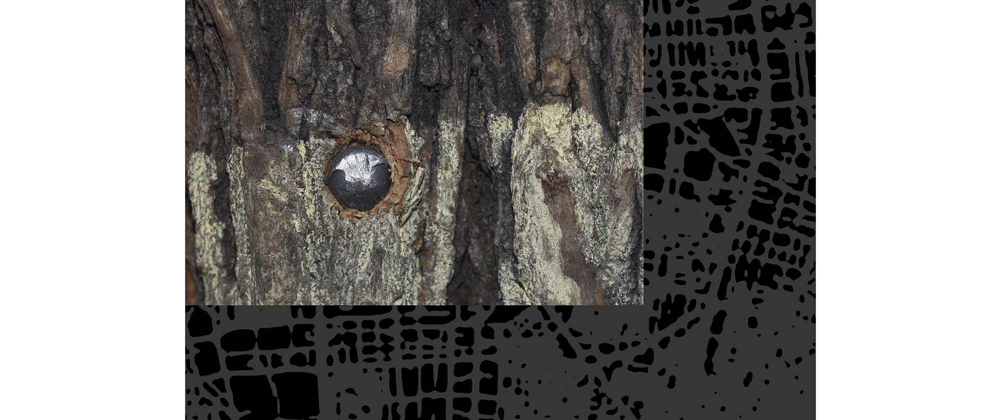 Políptico Árboles Perdigones (Trees Pellets Polyptych), 2021