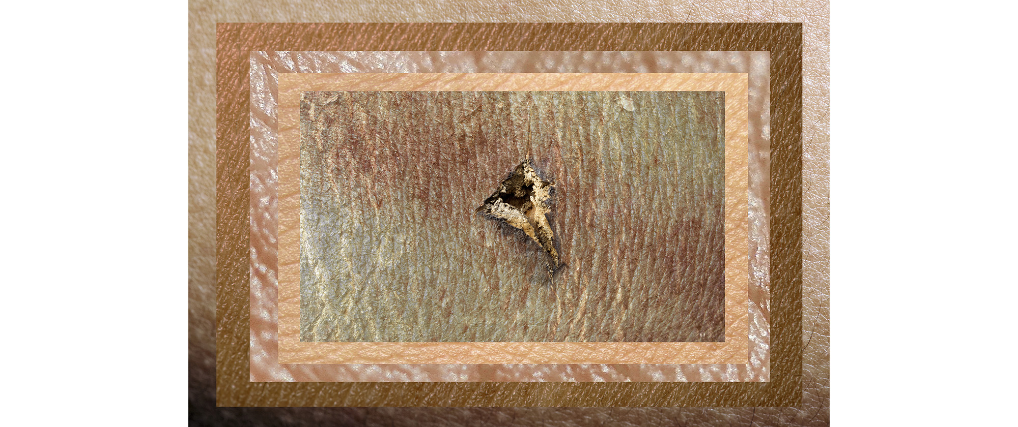 Políptico Arboles Piel (Trees Skin Polyptych), 2021