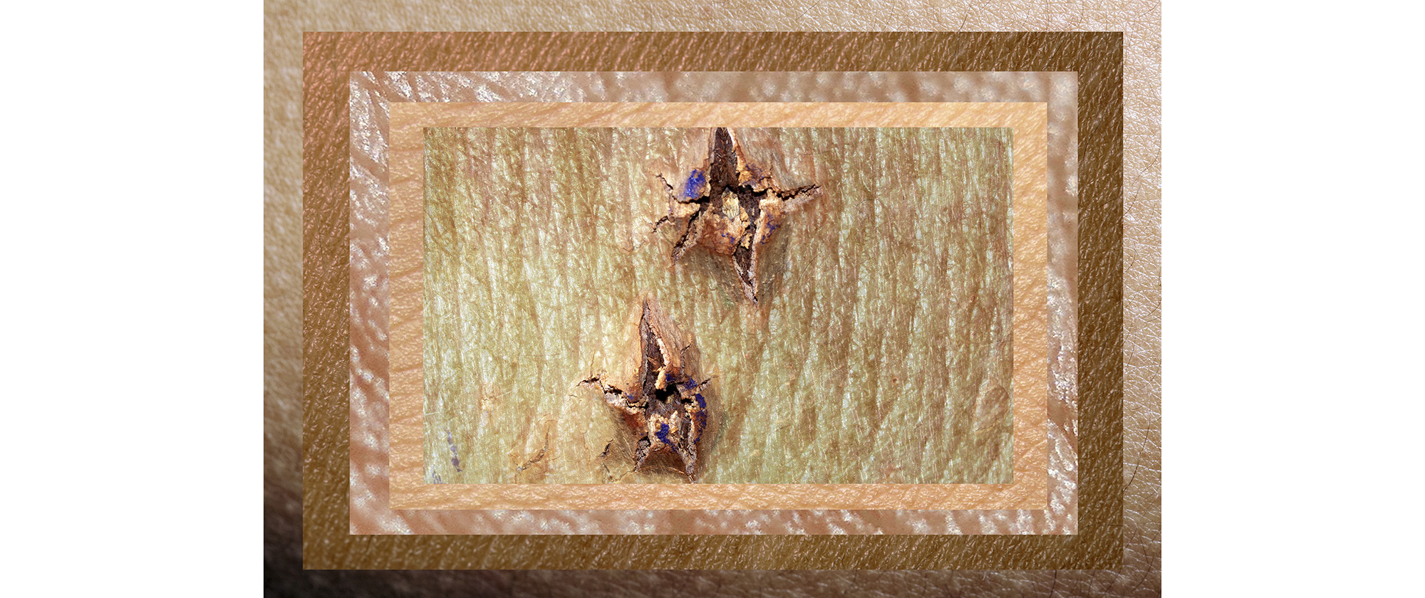 Políptico Arboles Piel (Trees Skin Polyptych), 2021