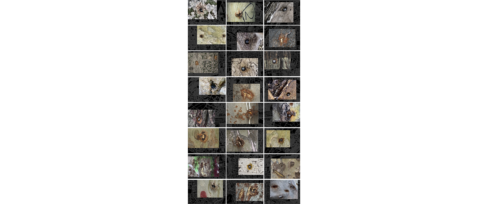 Políptico Árboles Perdigones (Trees Pellets Polyptych), 2021