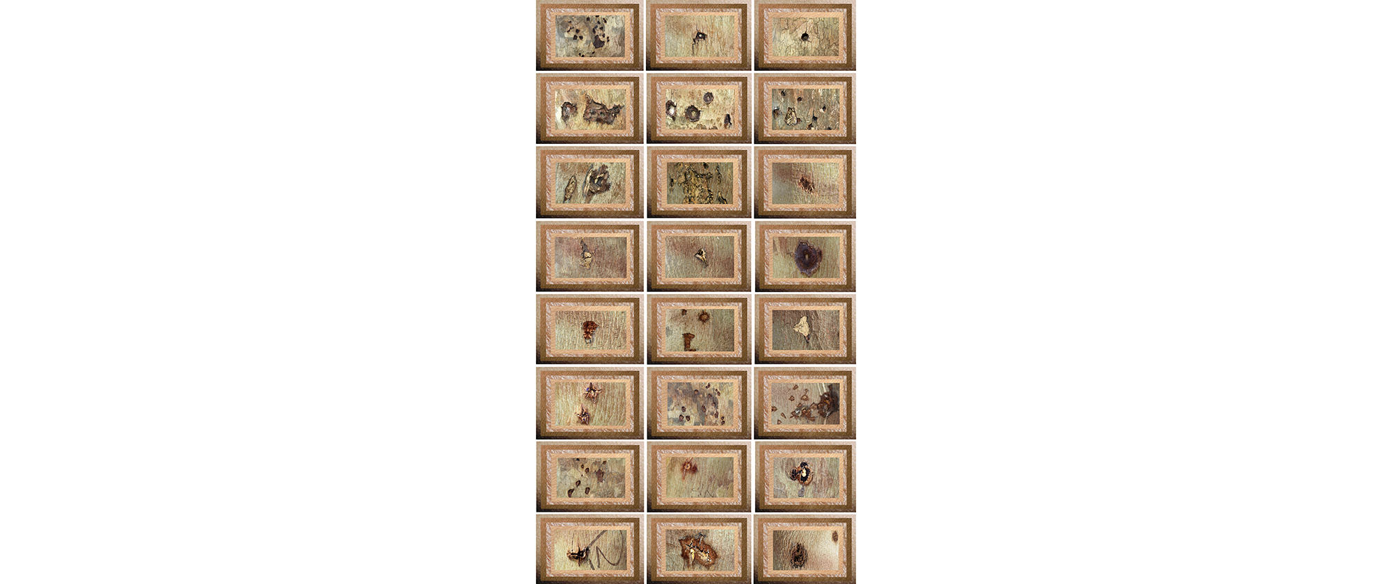 Políptico Arboles Piel (Trees Skin Polyptych), 2021