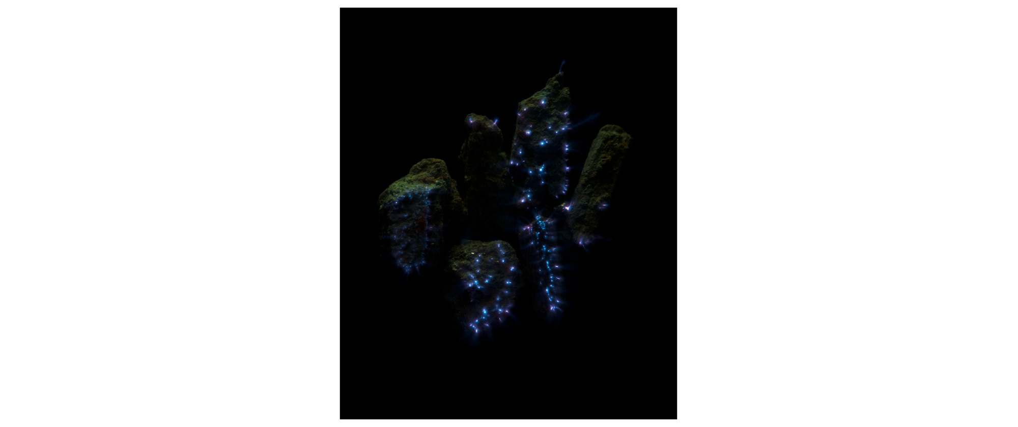 Earthing Discharge #02, 2019