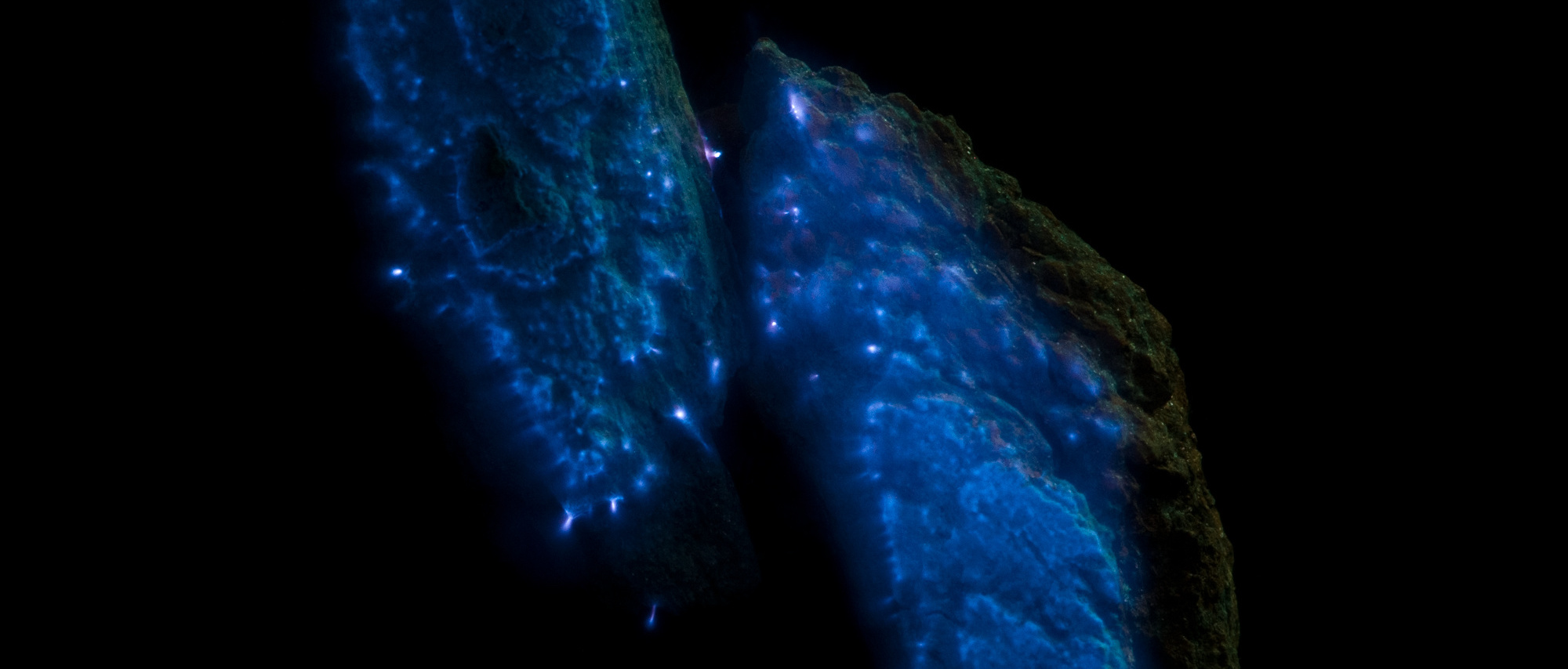 Earthing Discharge #05, 2019