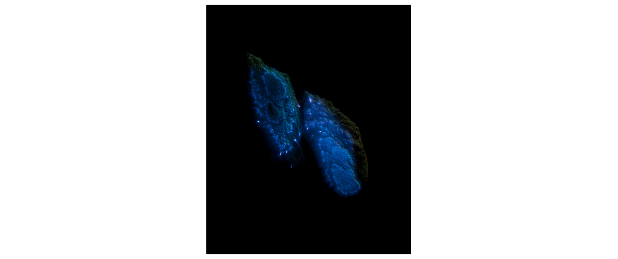 Earthing Discharge #05, 2019