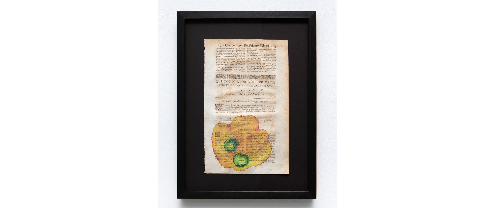 Starfish and Citrus Thorn #5, 2021