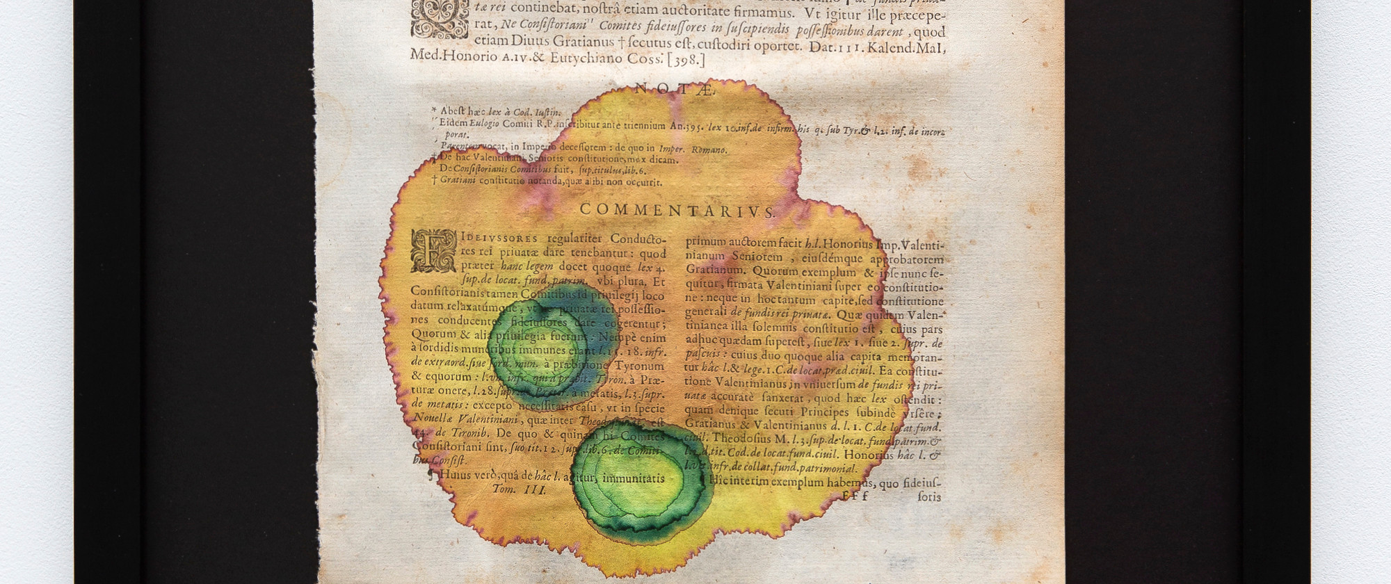 Starfish and Citrus Thorn #5, 2021