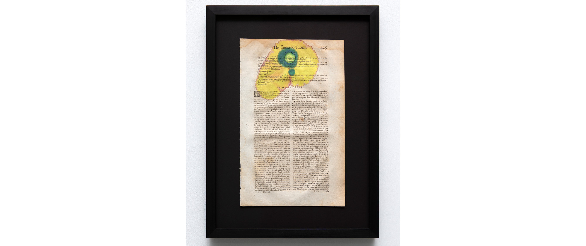 Starfish and Citrus Thorn #3, 2021