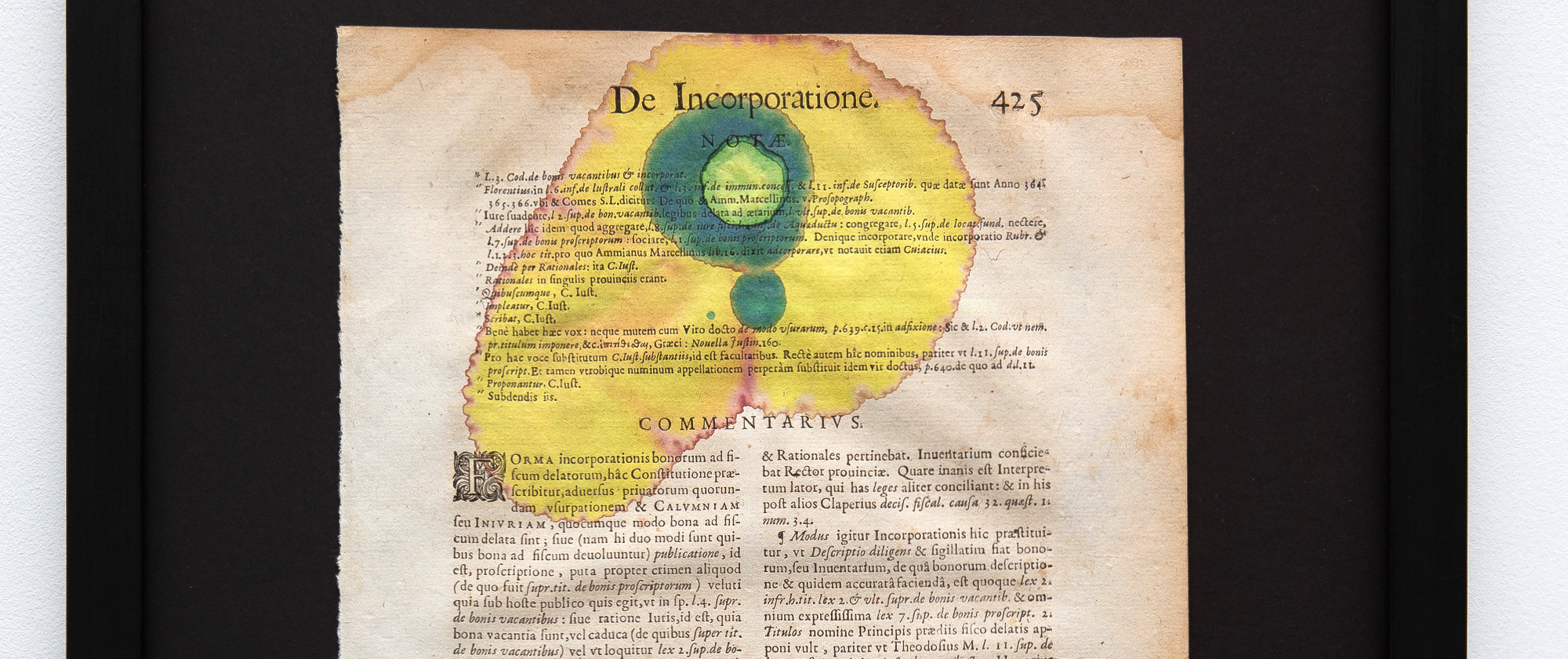 Starfish and Citrus Thorn #3, 2021