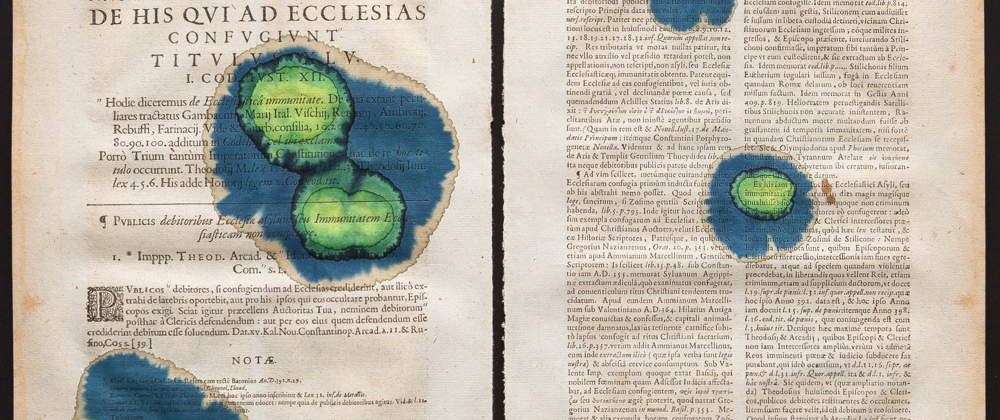 Starfish and Citrus Thorn #7, 2021