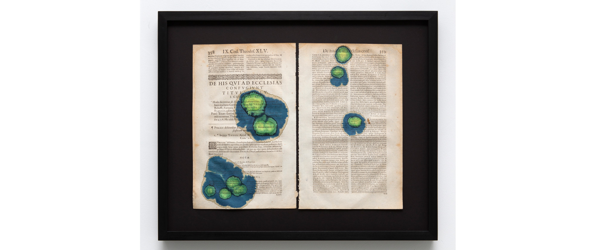 Starfish and Citrus Thorn #7, 2021