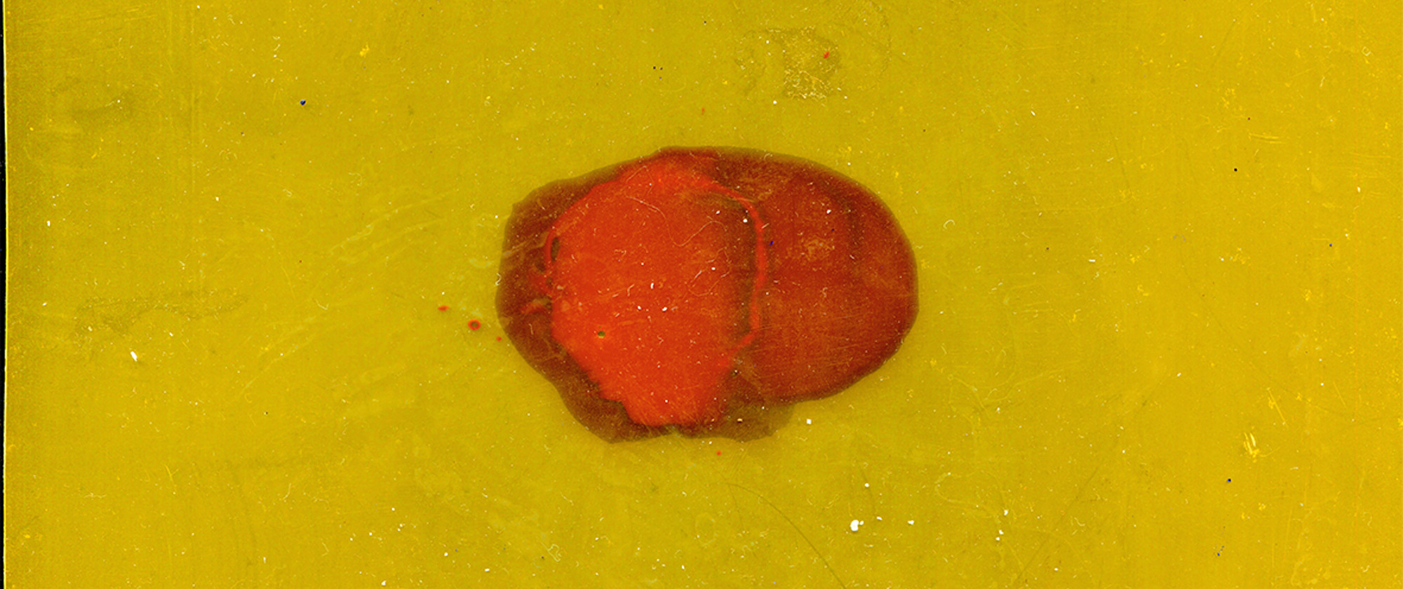 God did not glitch, but they did move the sun #11, 2021