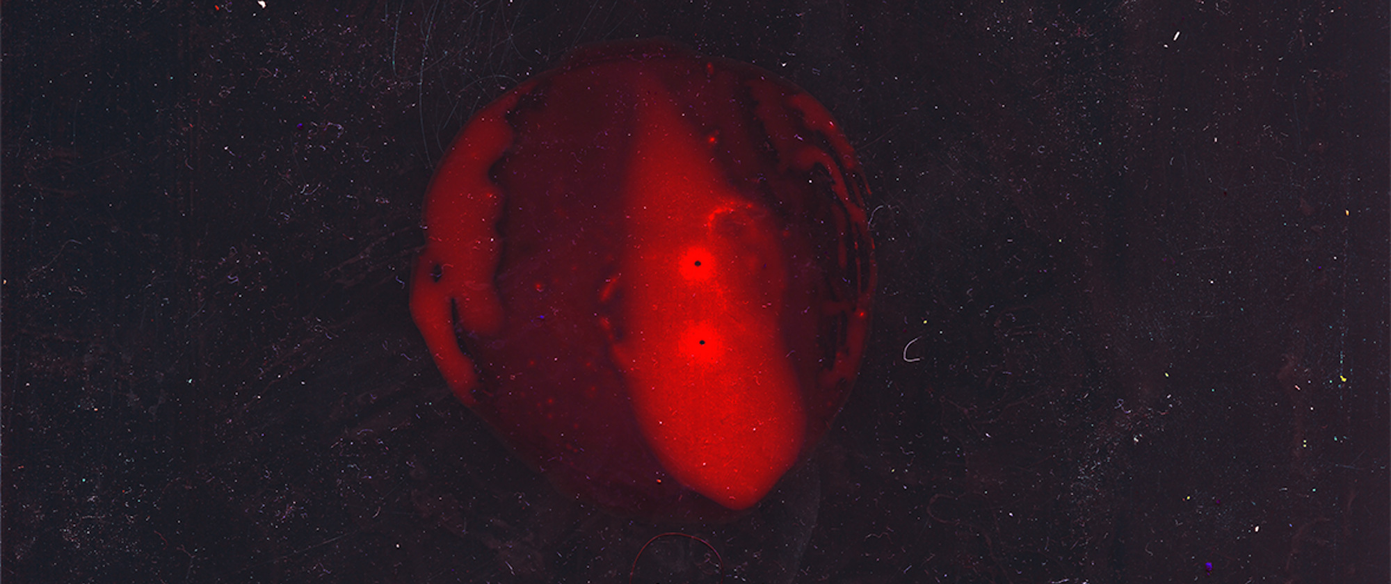 God did not glitch, but they did move the sun #13, 2021