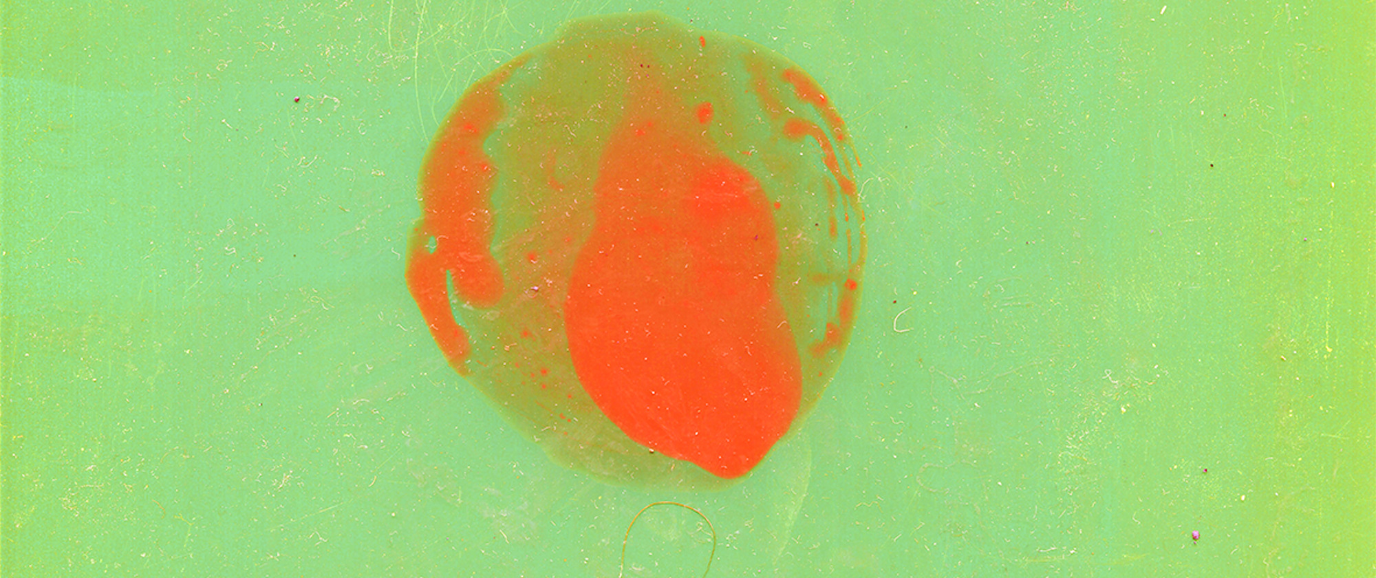 God did not glitch, but they did move the sun #14, 2021