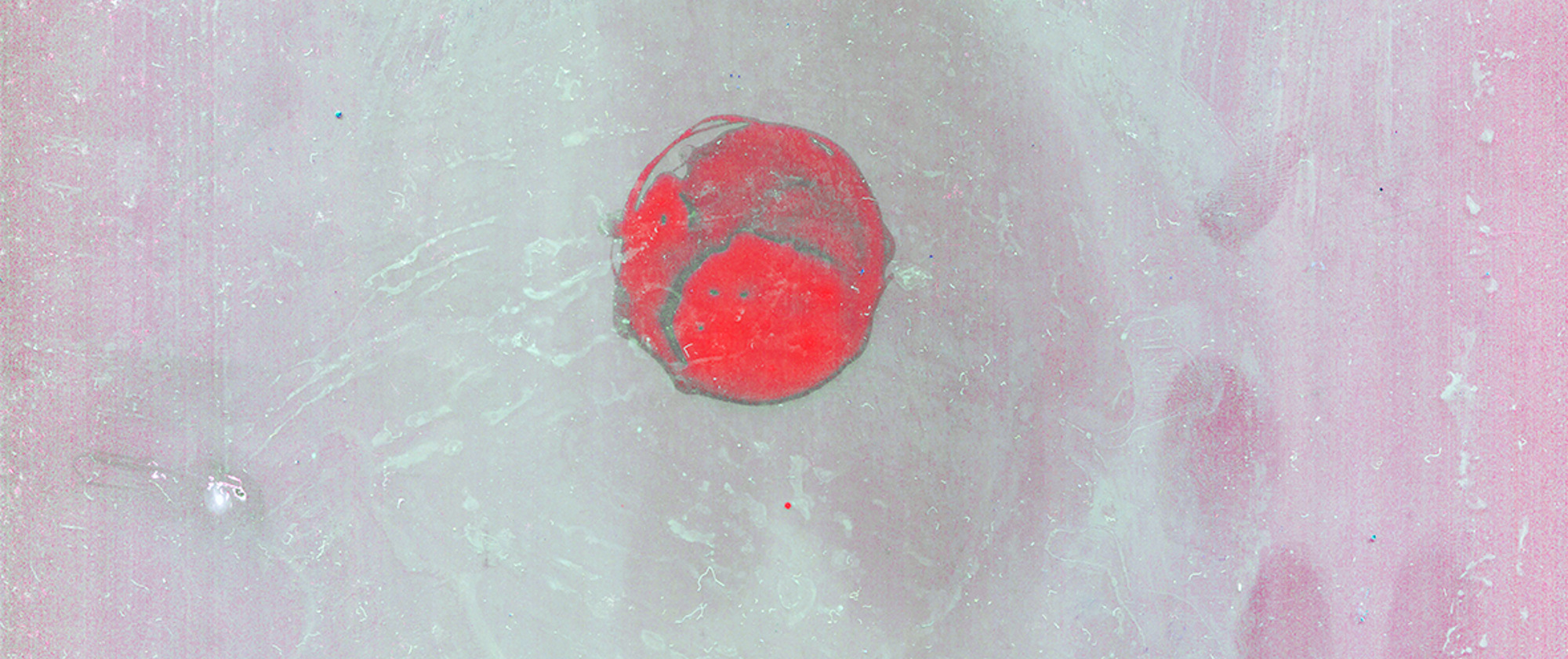 God did not glitch, but they did move the sun #2, 2021