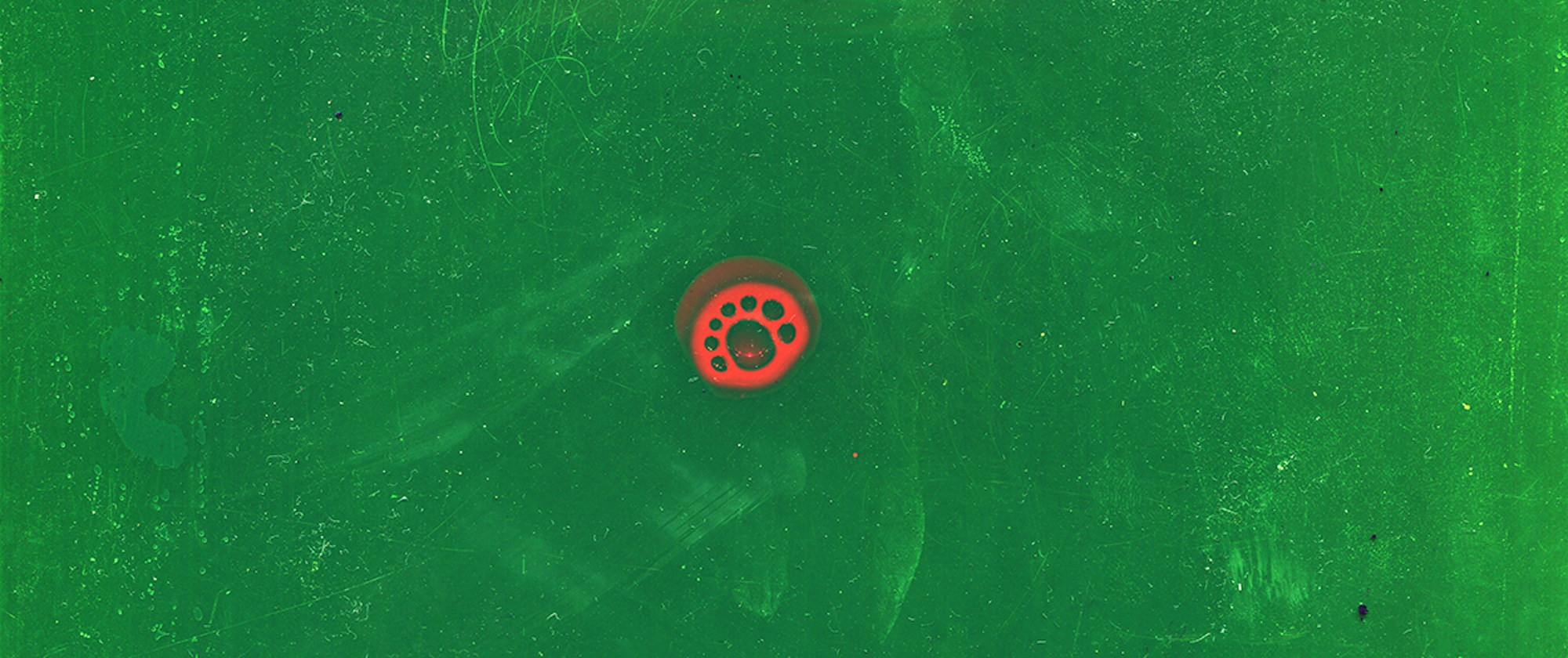 God did not glitch, but they did move the sun #3, 2021