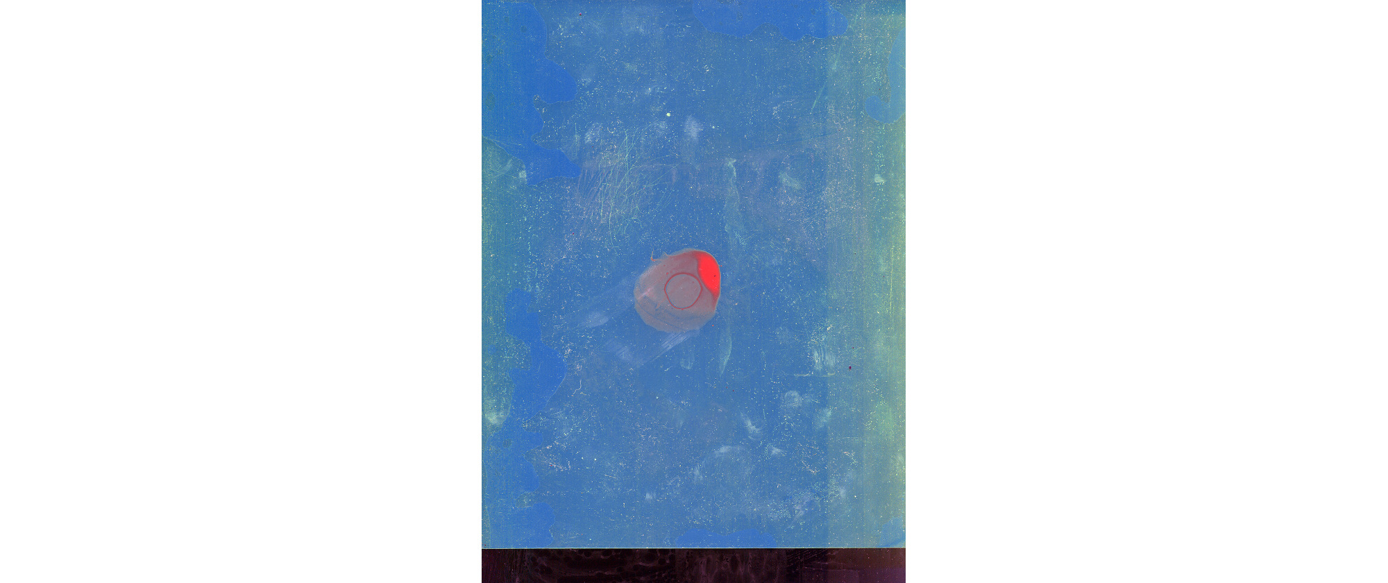 God did not glitch, but they did move the sun #5, 2021