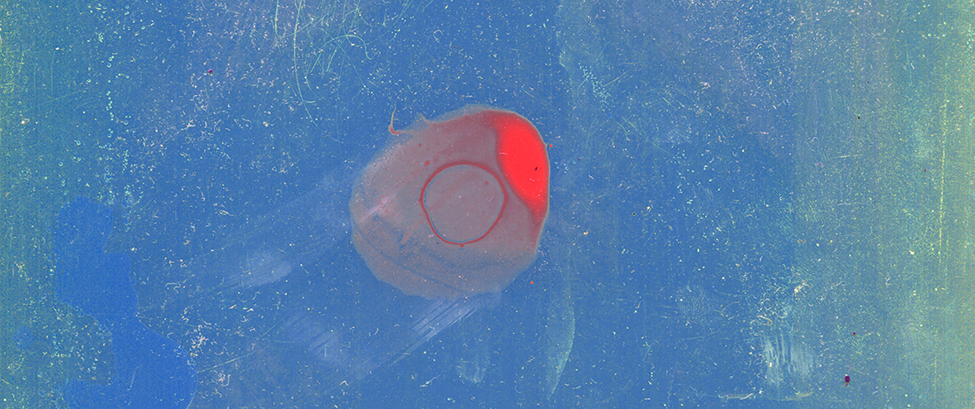 God did not glitch, but they did move the sun #5, 2021