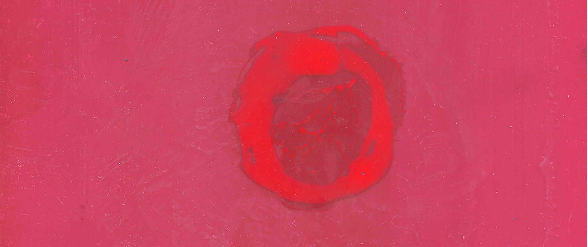 God did not glitch, but they did move the sun #7, 2021