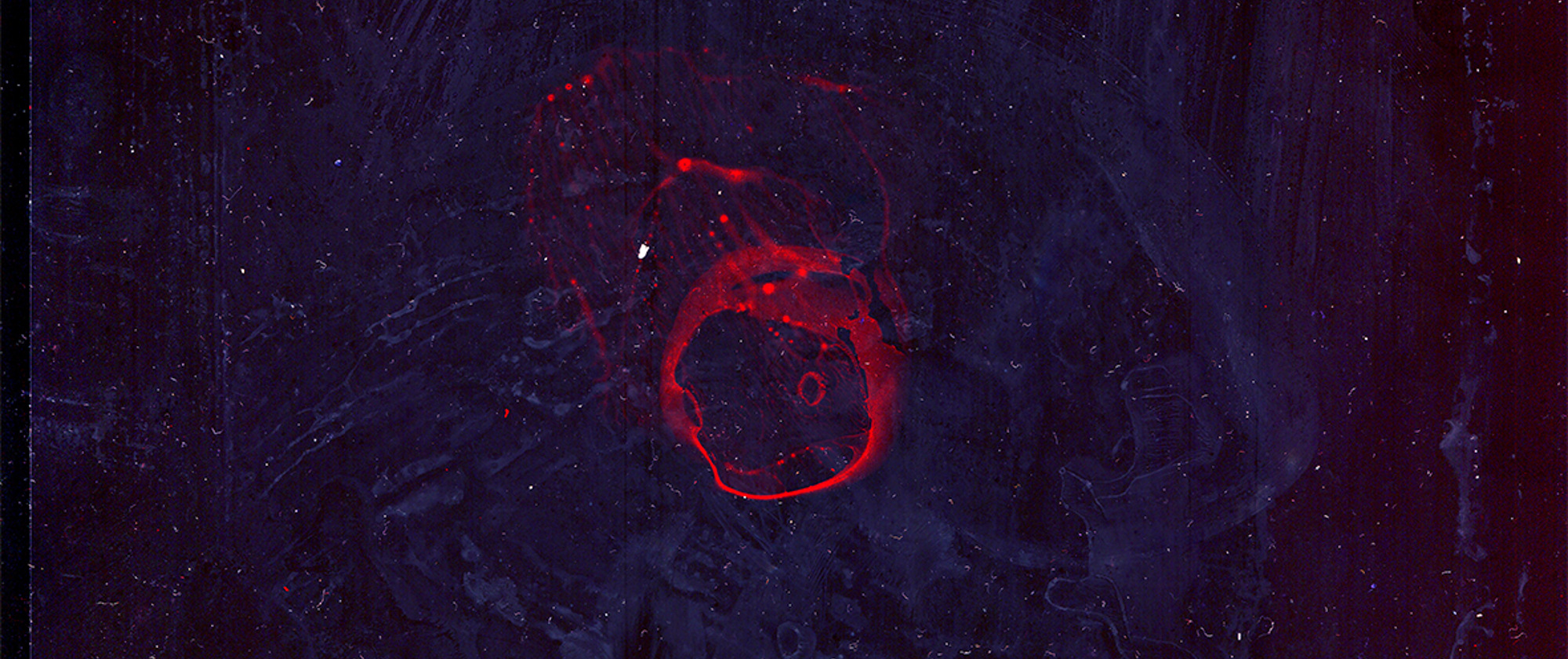 God did not glitch, but they did move the sun #8, 2021