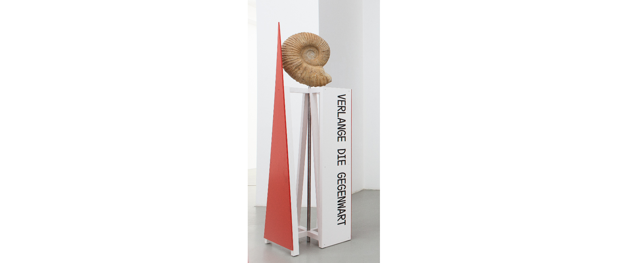 Neo-Constructivist Ammonites, 2019