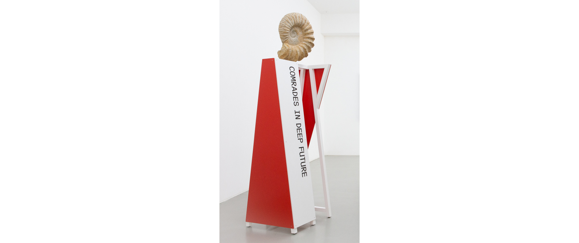 Neo-Constructivist Ammonites, 2019