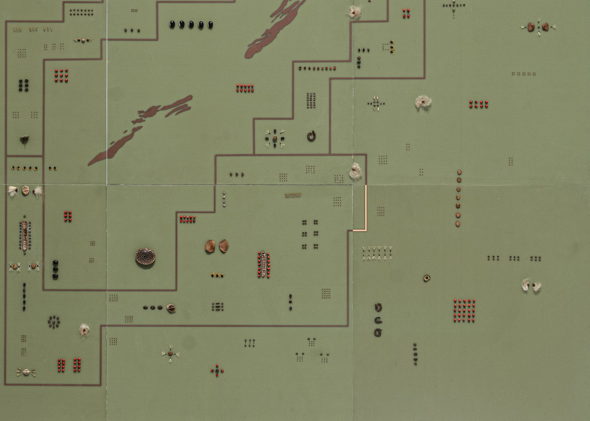 Future Flora: Manono IV, 2022