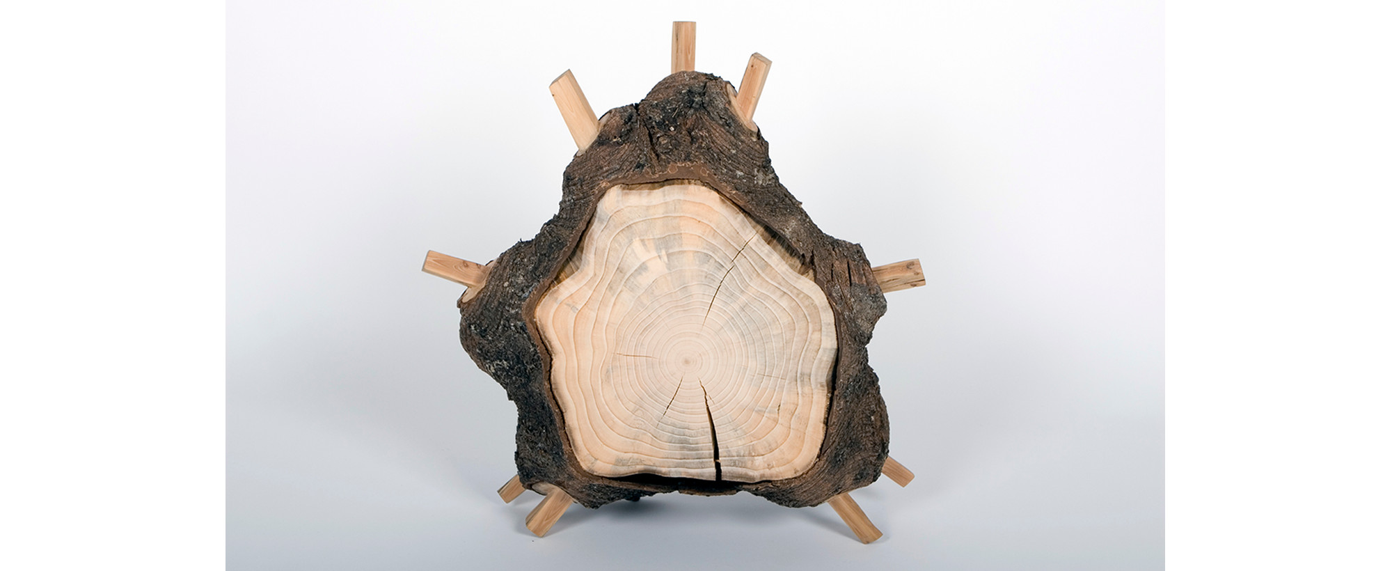 Genetologic Research nr. 28, 2006