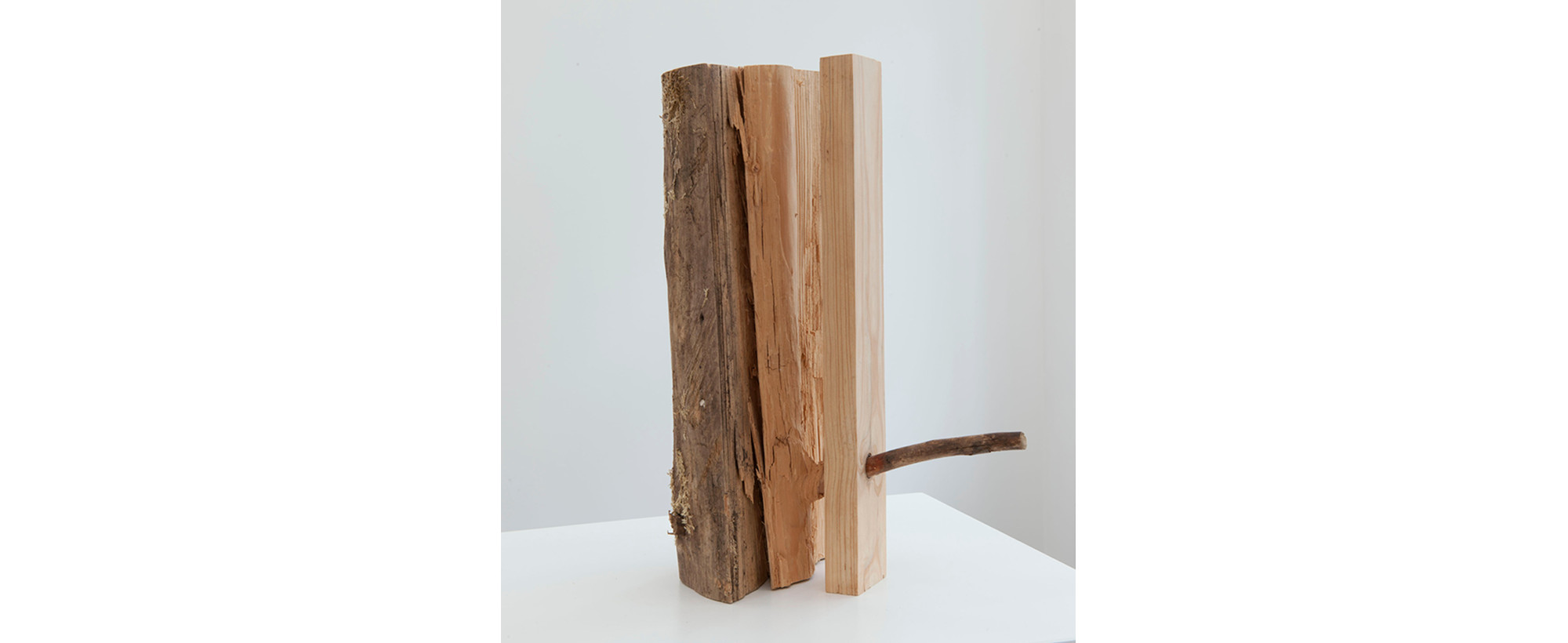 Genetologic Research nr. 32, 2010