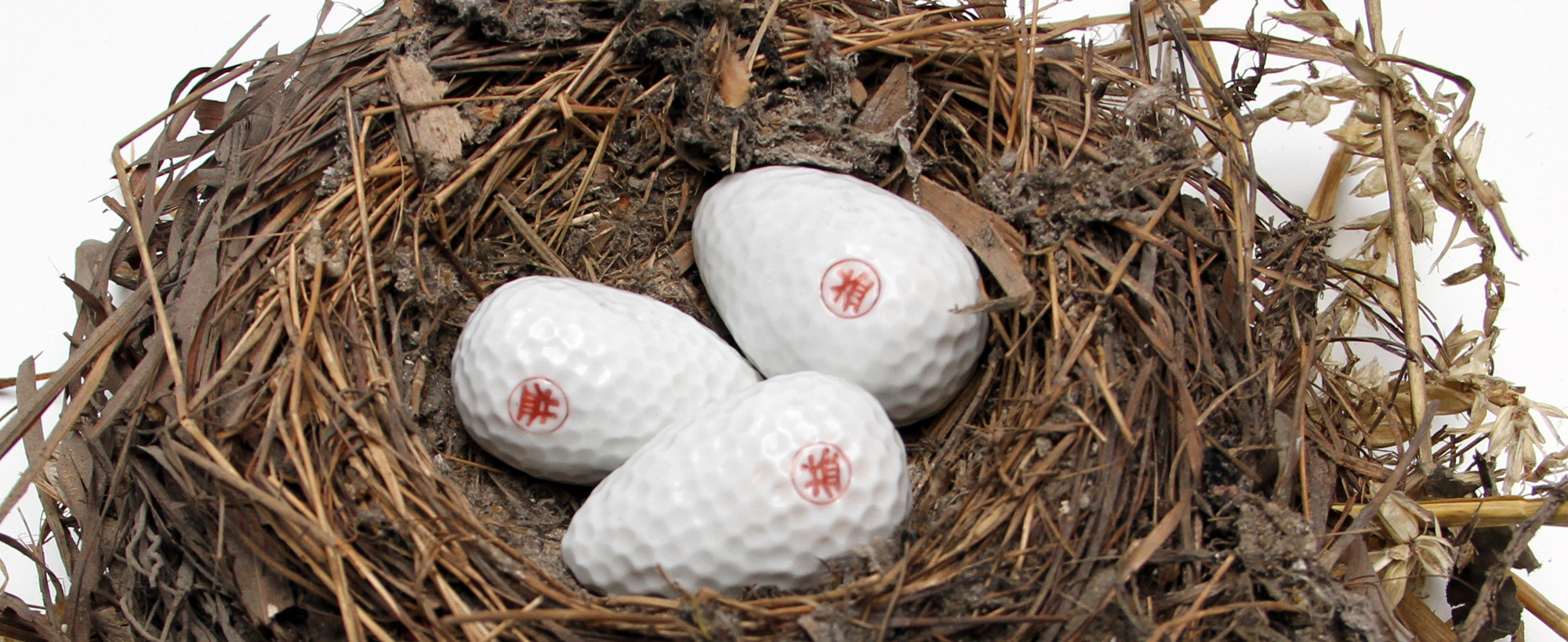 Genetologic Research nr.17 (golfball eggs), 2004