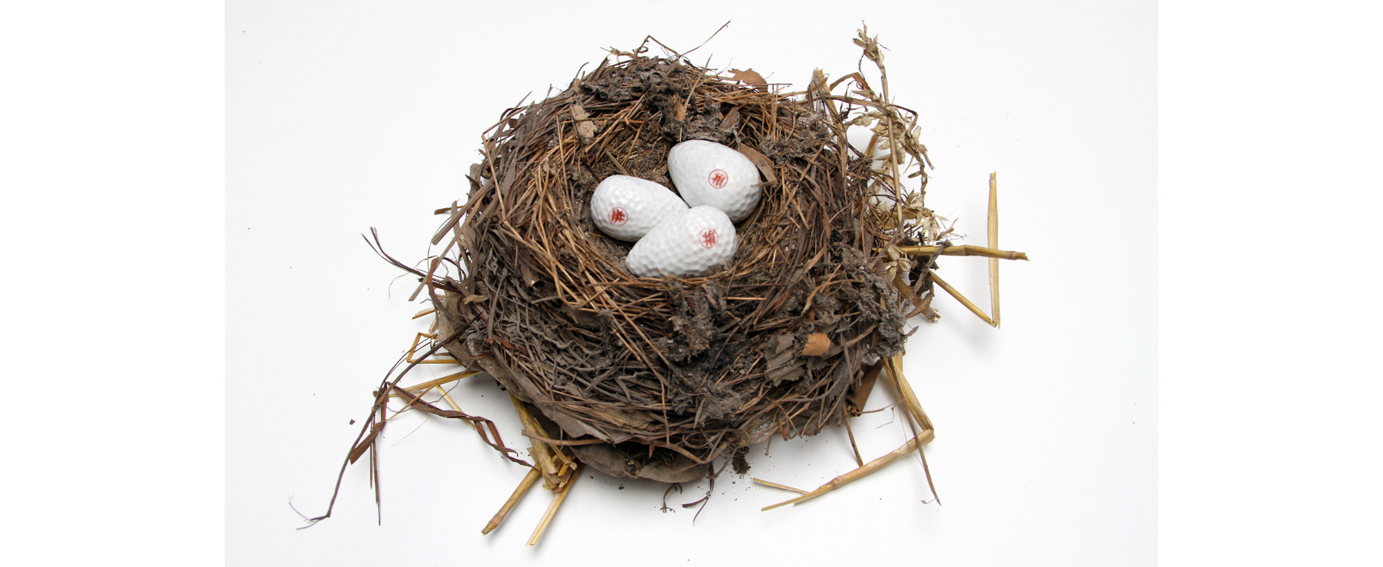 Genetologic Research nr.17 (golfball eggs), 2004