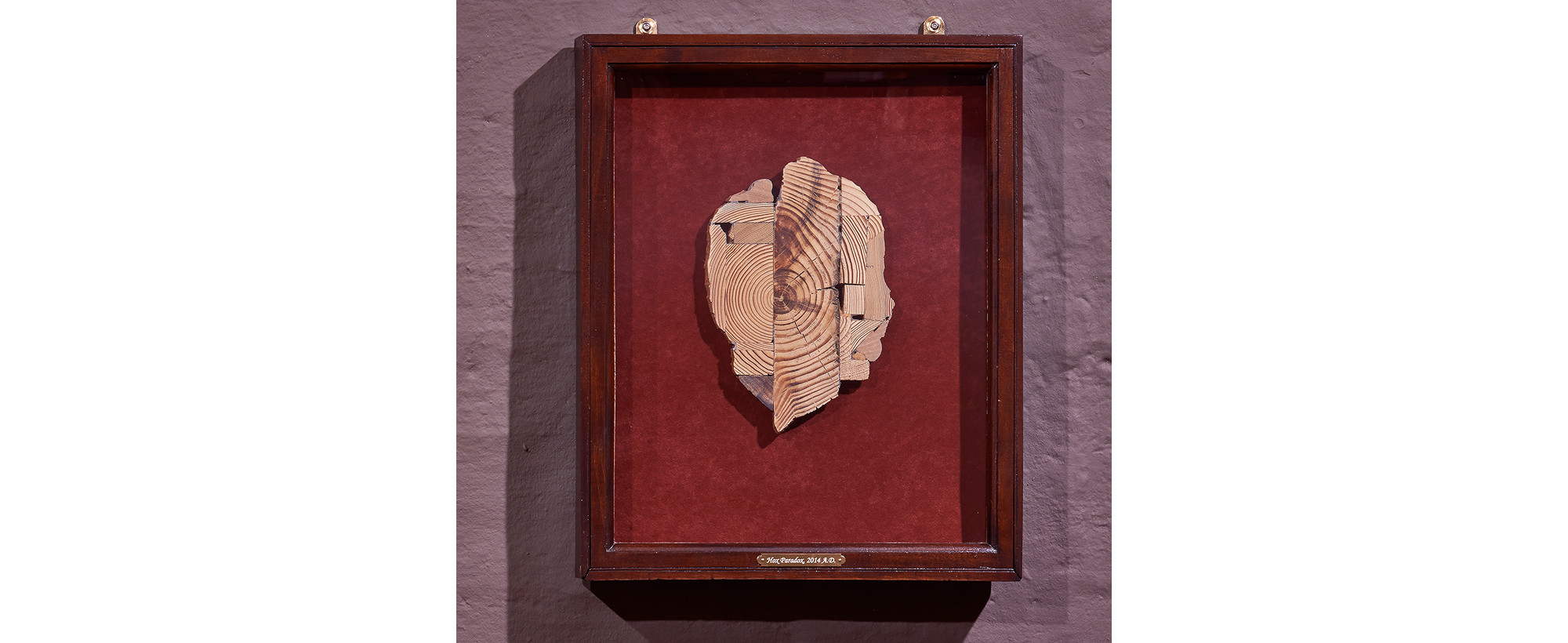 Hox Paradox, 2005-2014