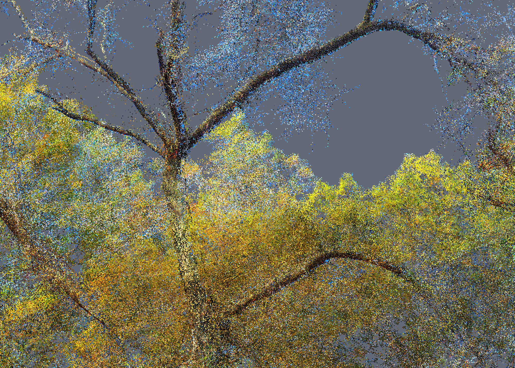 Pointillisme #01_04163, 2022