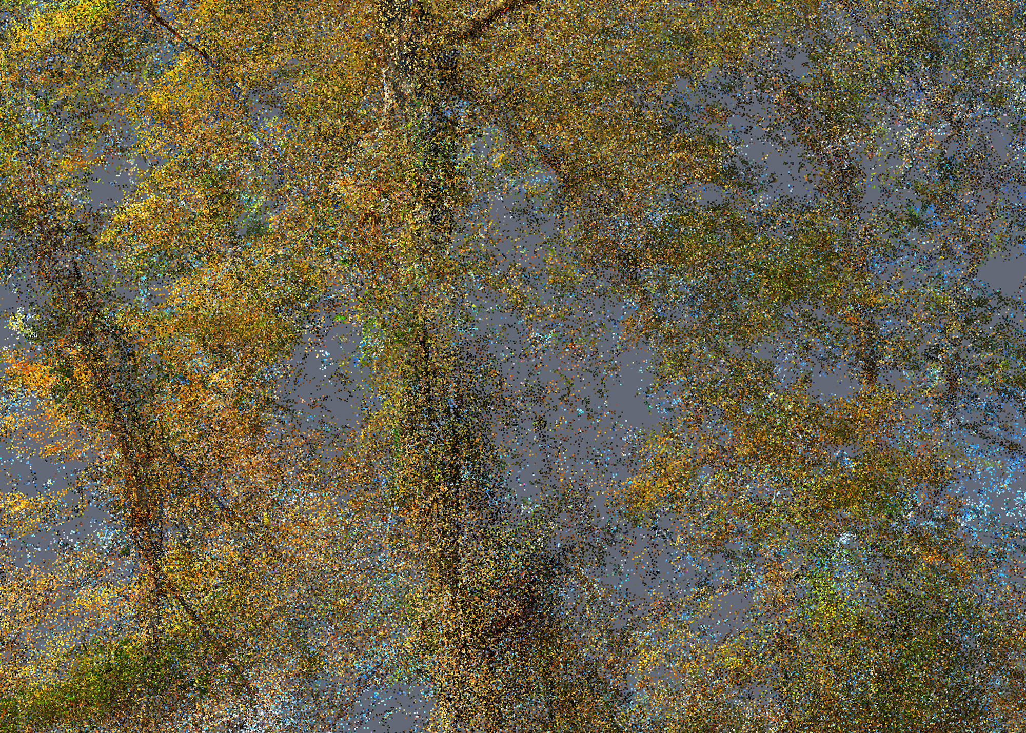 Pointillisme #01_04163, 2022